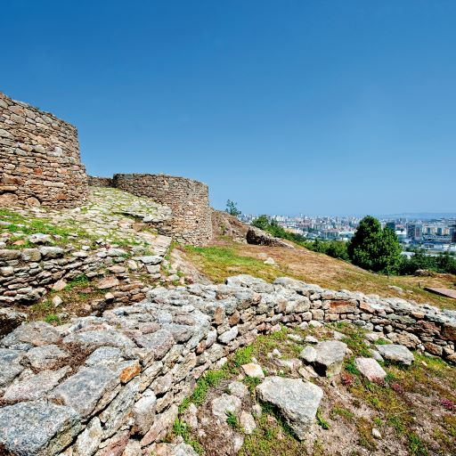 Muro vello