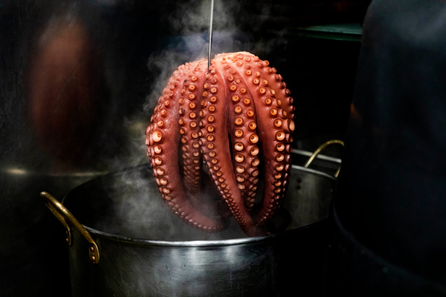 Pulpo a la brasa