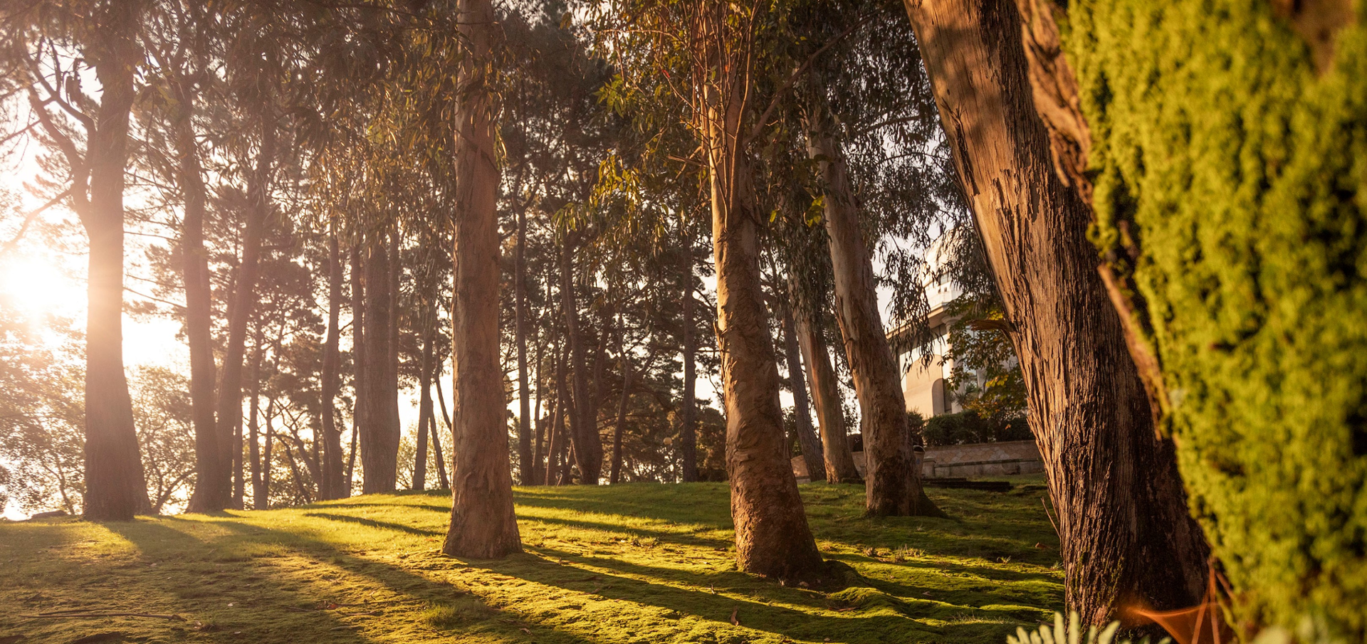 parque de Santa Margarida