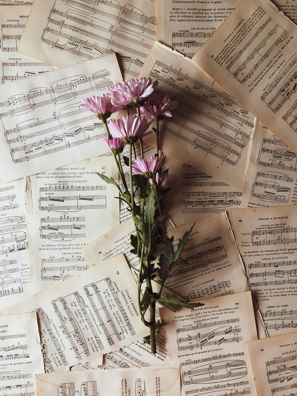 música