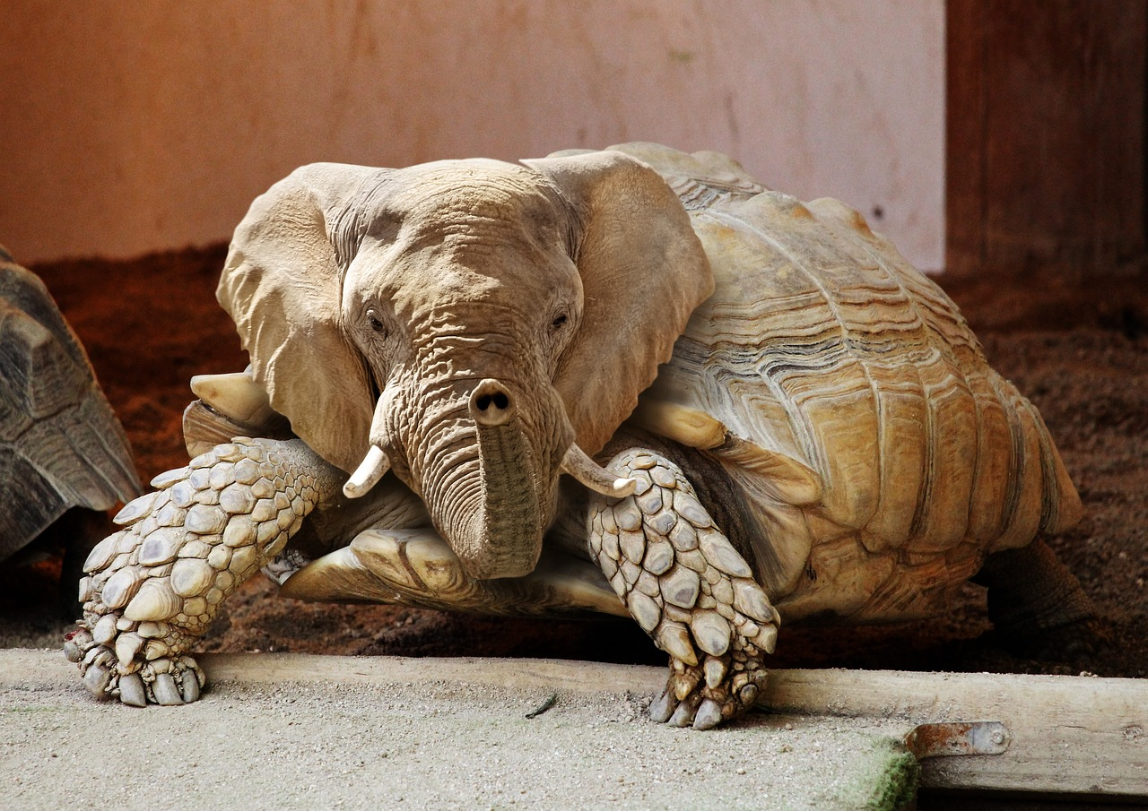 Imagen artificial de una tortuga con cabeza de elefante