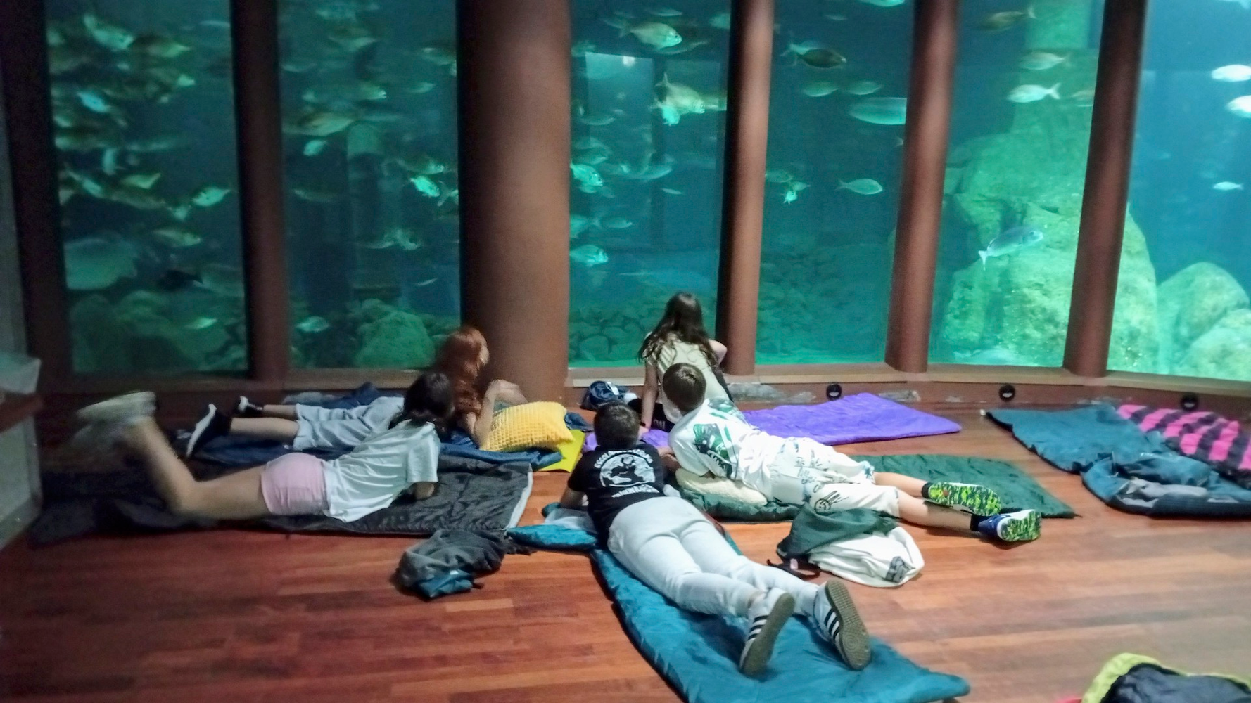 Durmindo con quenllas