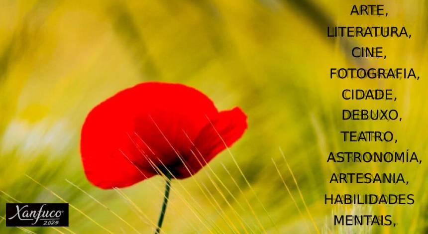 Forum - Agora Primavera 2026