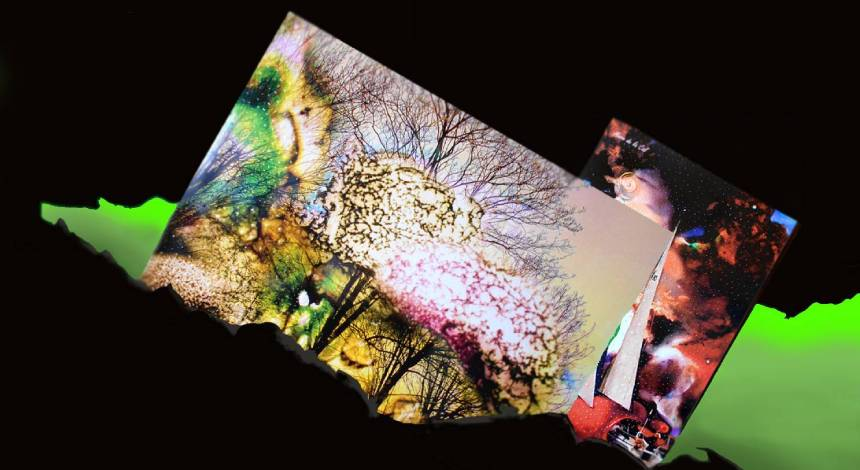 Exposición fotografía Micropictórica