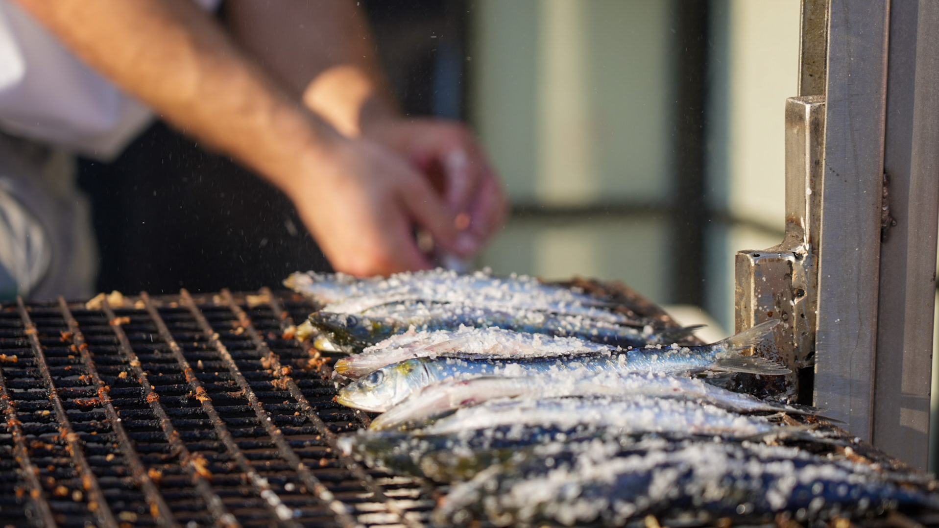 Grilled sardines at San Juan festivity